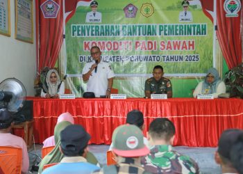 Pohuwato Targetkan Jadi Lumbung Pangan, Pemerintah Dorong Percetakan Sawah Baru