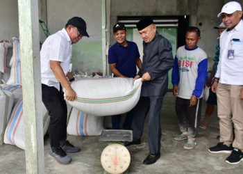 Pemerintah dan Bulog Sinergi Serap Gabah, Petani Pohuwato Dapat Kepastian Harga