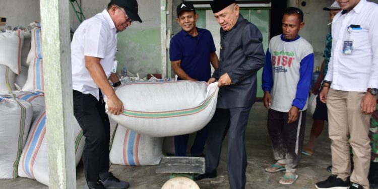 Pemerintah dan Bulog Sinergi Serap Gabah, Petani Pohuwato Dapat Kepastian Harga