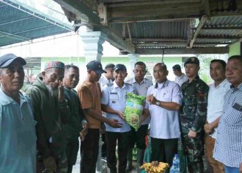 Dorong Swasembada Pangan, Pemkab Pohuwato Salurkan 48,5 Ton Benih Padi ke Petani Patilanggio