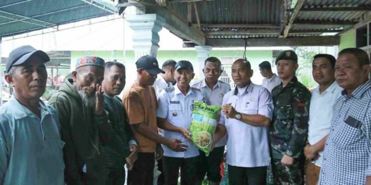 Dorong Swasembada Pangan, Pemkab Pohuwato Salurkan 48,5 Ton Benih Padi ke Petani Patilanggio
