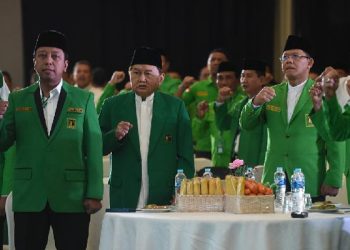 Muktamar PPP Makin Dekat, Sejumlah Tokoh Eksternal Mulai Lobi Jadi Ketum