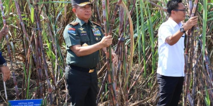 Panglima TNI Dampingi Wapres Gibran Panen Raya Tebu di Sleman, Dorong Swasembada Gula Nasional