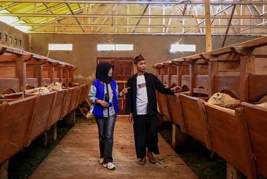 BRI Catat 574 Ribu Nasabah KUR Naik Kelas di Triwulan II-2025